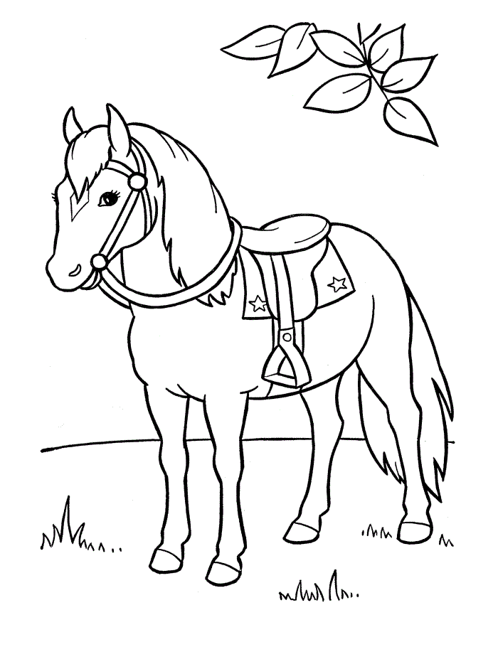 Colouring Horse For Kids