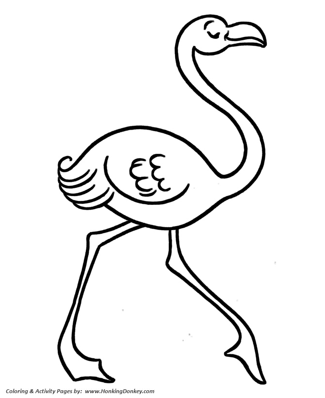 Flamingo Coloring Pages Cute