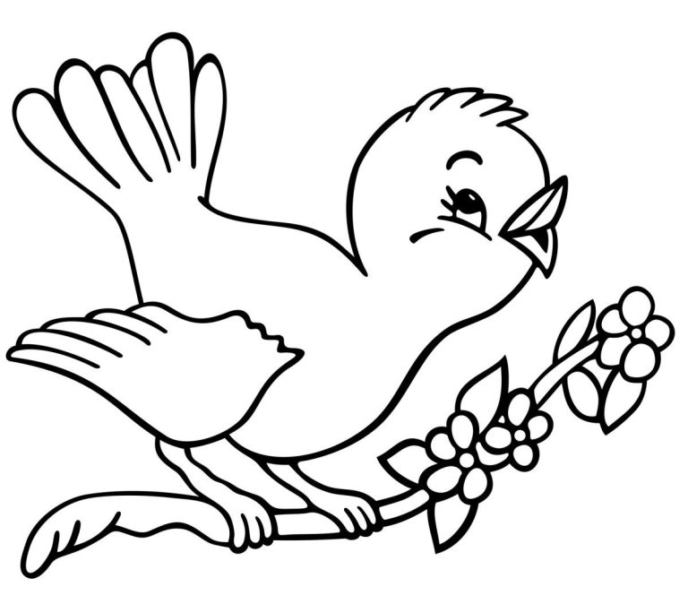 Colouring Birds For Kids