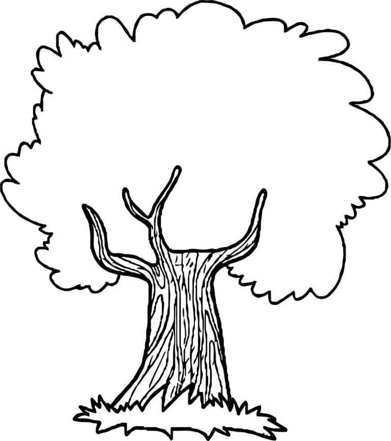 Apple Tree Coloring Book