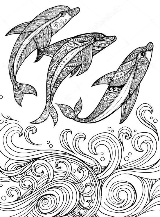 Advanced Dolphin Coloring Pages For Adults
