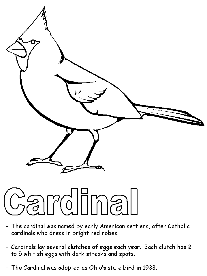 Outline Blue Jay Coloring Page