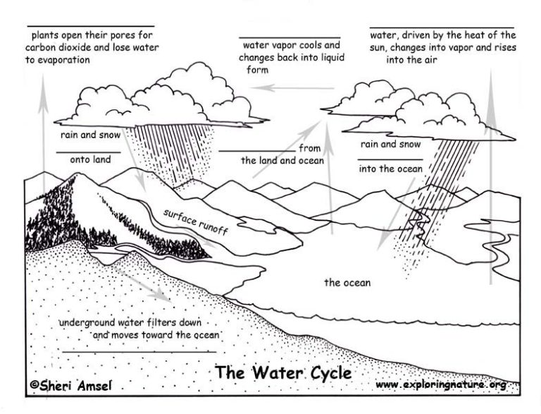 Printable Water Cycle Quiz Worksheet Pdf