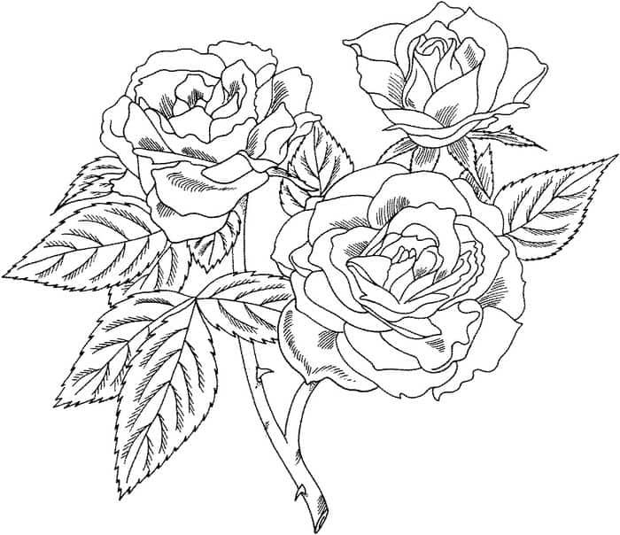 Hard Beautiful Flower Flower Coloring Pages