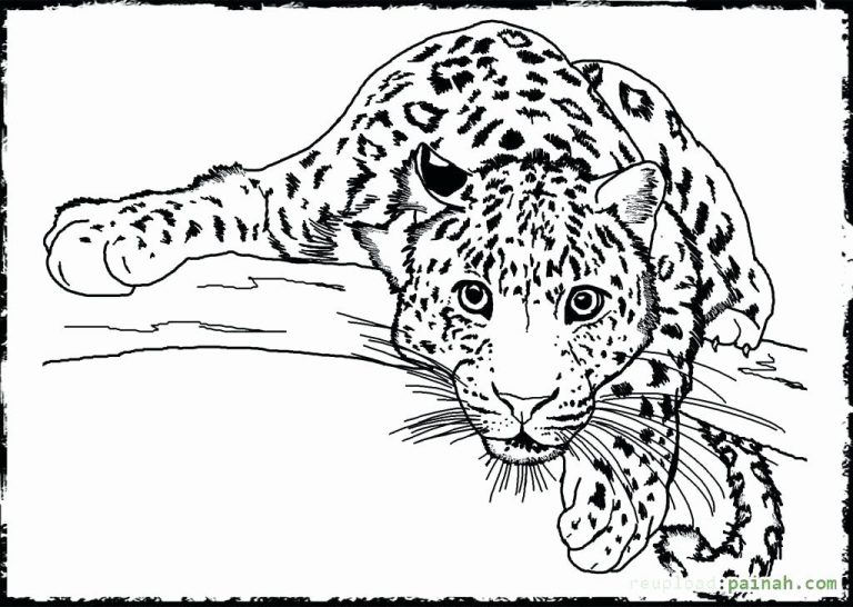 Realistic Printable Coloring Pages Of Animals