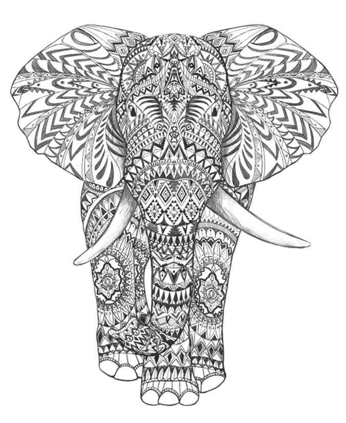 Mandala Elephant Coloring Pages For Adults