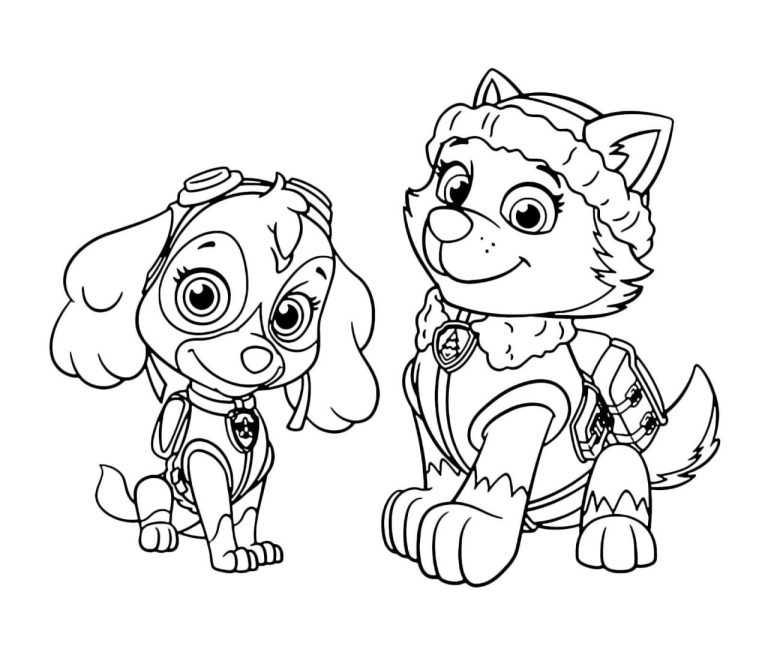 Rocky Skye Paw Patrol Coloring Pages