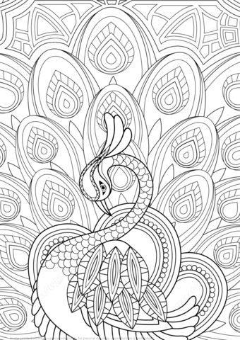 Peacock Mandala Coloring Pages Animals