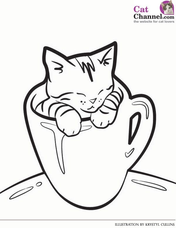 Easy Cat Coloring Pages For Kids