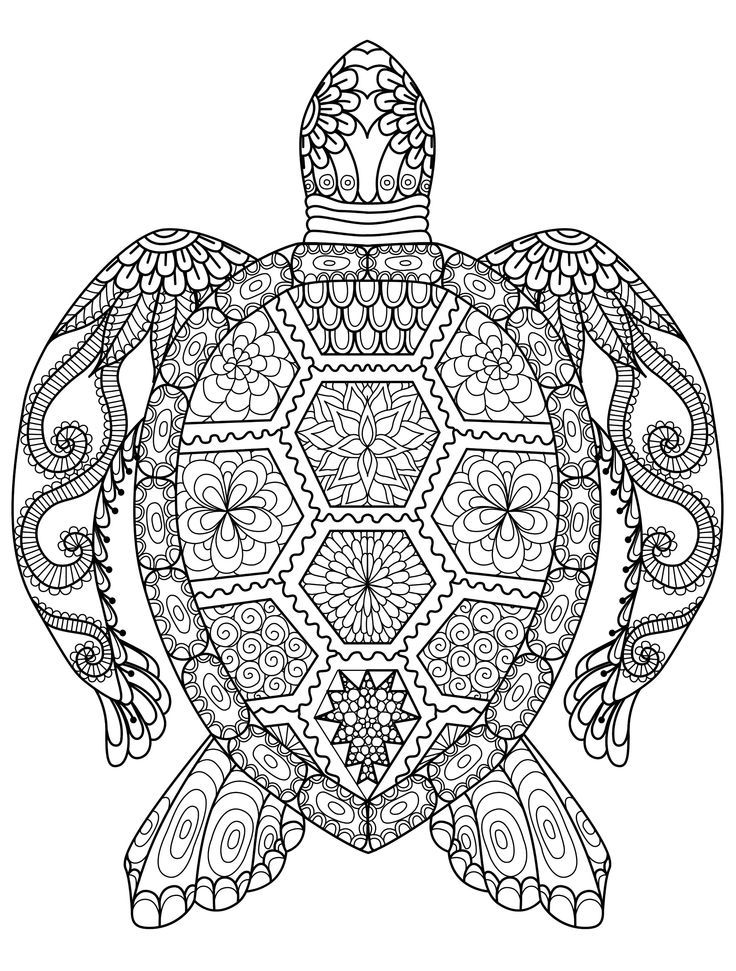 Printable Coloring Pages For Adults Turtle