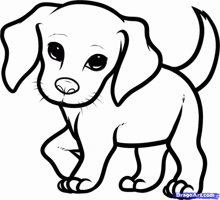 Dog Easy Animal Coloring Pages