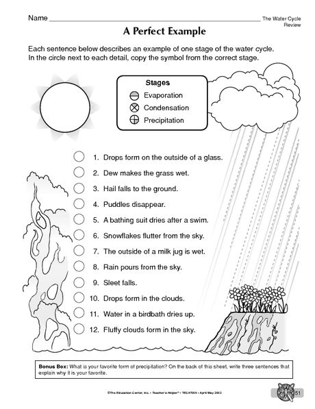 Fifth Grade Printable Water Cycle Worksheet Pdf