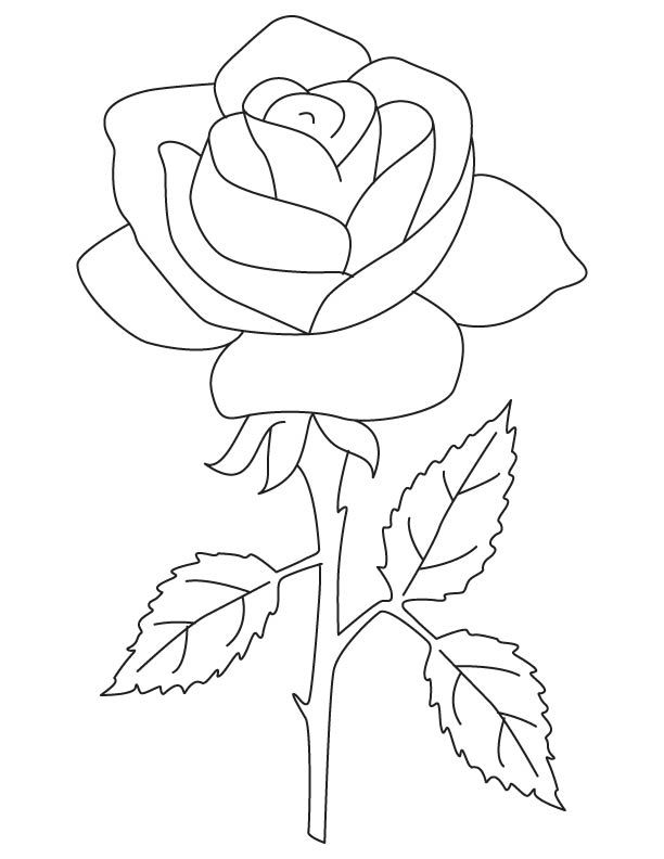 Rose Coloring Pictures Of Flowers