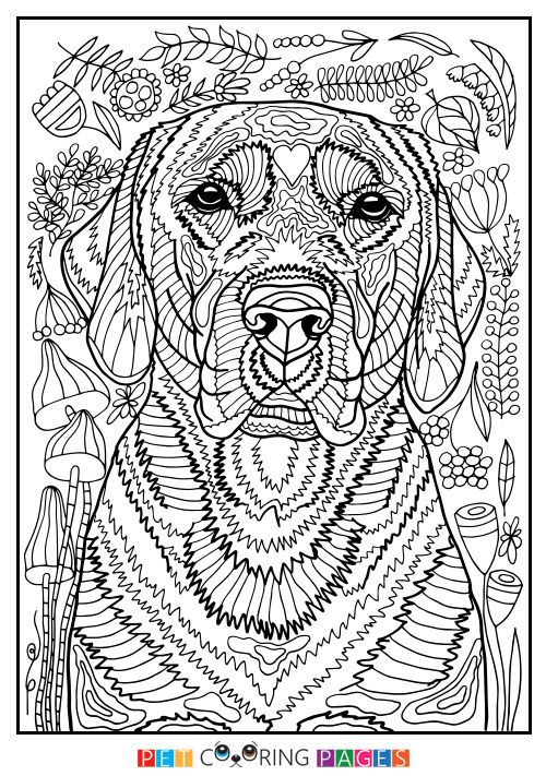 Dog Coloring Pages For Adults Free