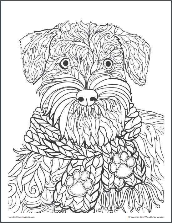Realistic Dog Coloring Pages Cute