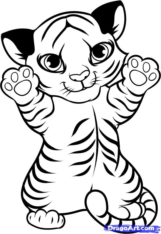 Baby Tiger Tiger Coloring Pages For Kids
