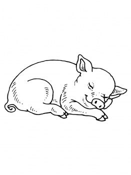 Baby Pig Pig Coloring Pages For Adults