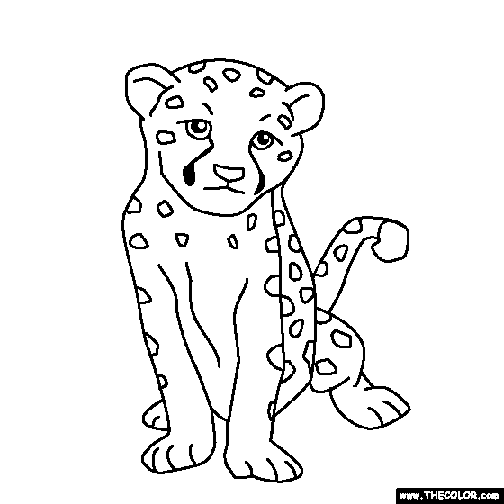 Baby Cheetah Coloring Pages For Kids