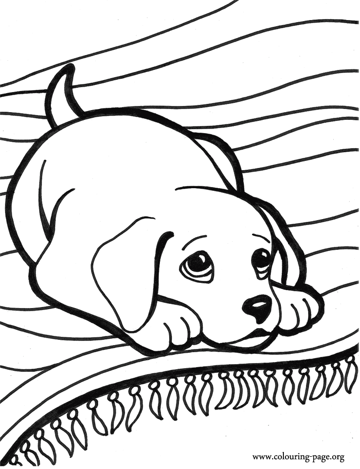 Baby Dog Dog Coloring Pages Printable