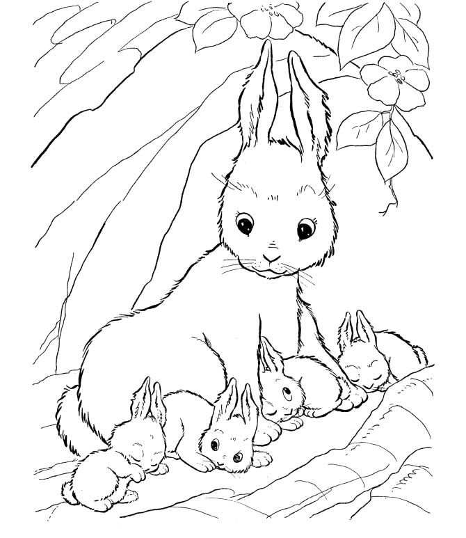 Baby Moses Coloring Pages For Preschoolers
