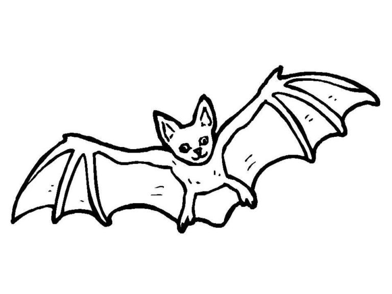 Bat Picture Coloring Page
