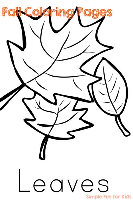Autumn Leaf Coloring Pages Printable