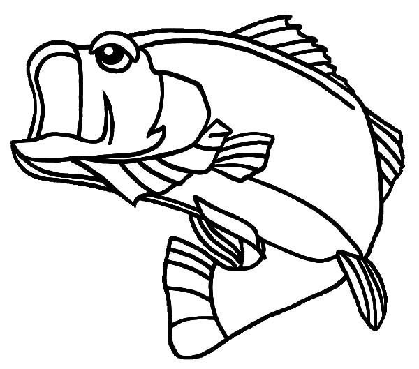 Bass Fish Coloring Pages Free