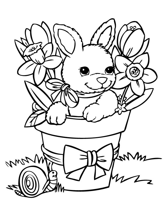 Baby Bunny Bunny Coloring Pages For Kids