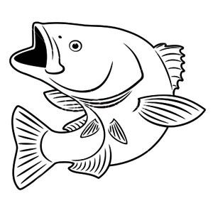 Bass Fish Coloring Pages For Adults