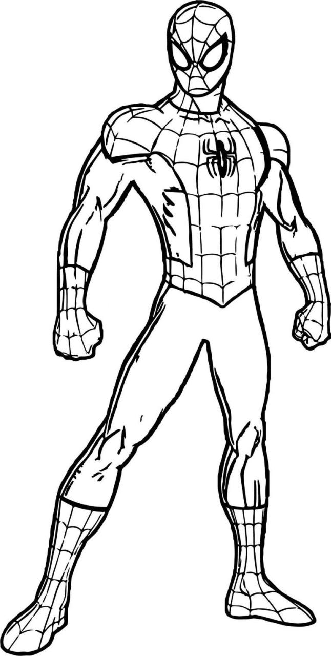 Coloring Sheet Spiderman Pictures To Color