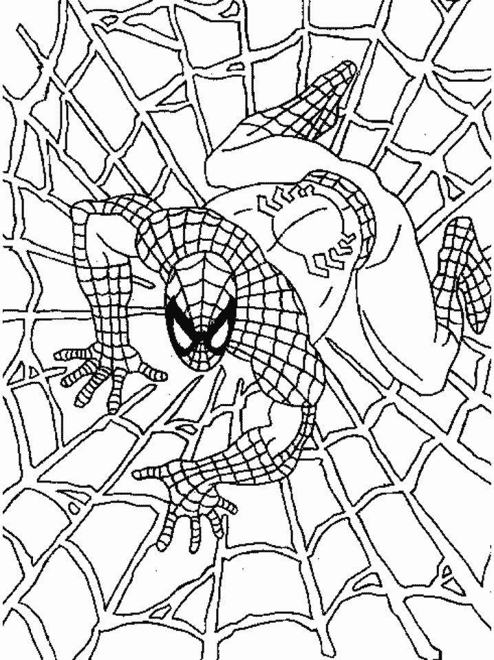 Black Spiderman Coloring Pages Free