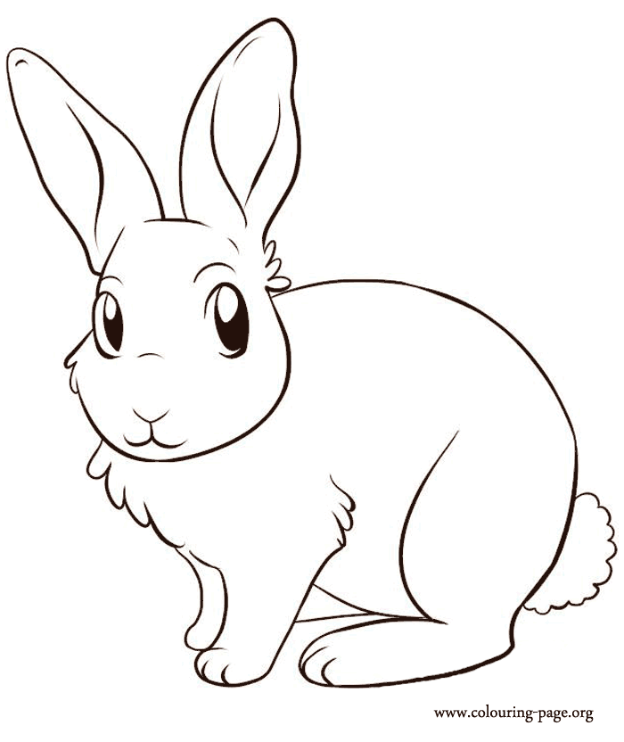 Cute Bunny Coloring Pictures