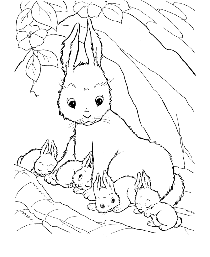 Realistic Adorable Bunny Bunny Coloring Pages