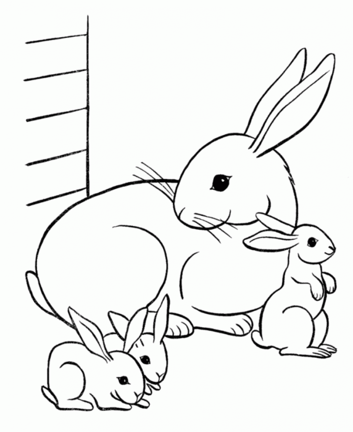 Easy Cute Baby Bunny Coloring Pages