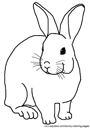Realistic Bunny Coloring Pages Printable