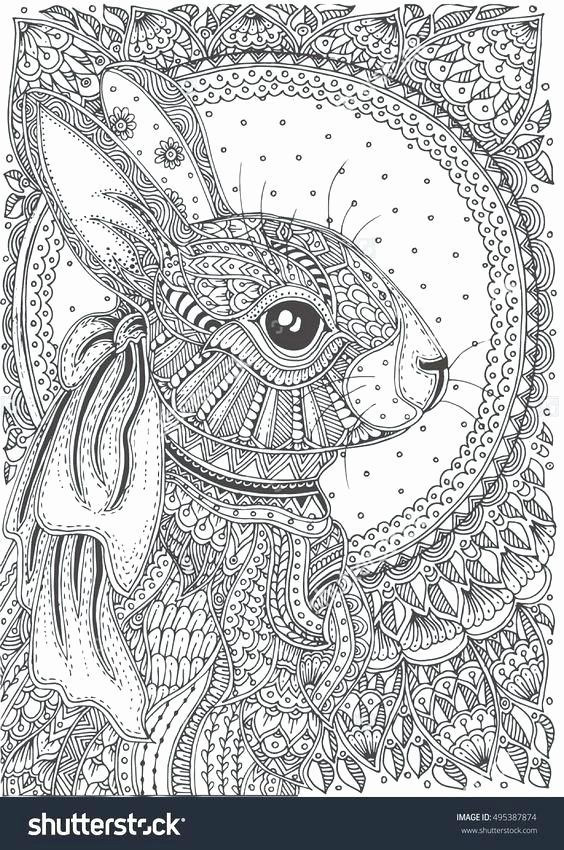 Detailed Bunny Coloring Pages For Adults