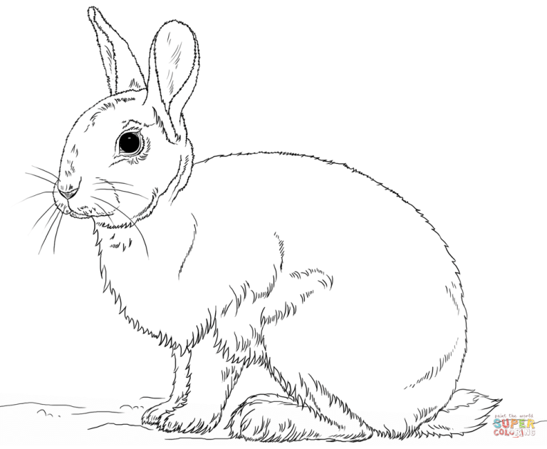 Cute Bunny Coloring Pages To Print