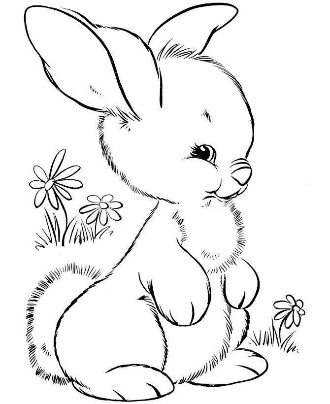 Cute Easter Bunny Colouring Pages