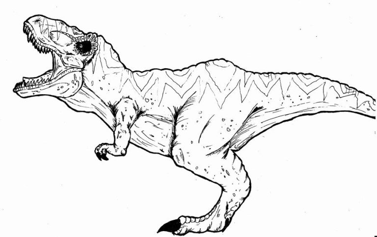 T Rex Coloring Pictures