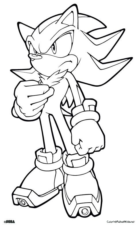 Sonic And Shadow Printable Coloring Pages