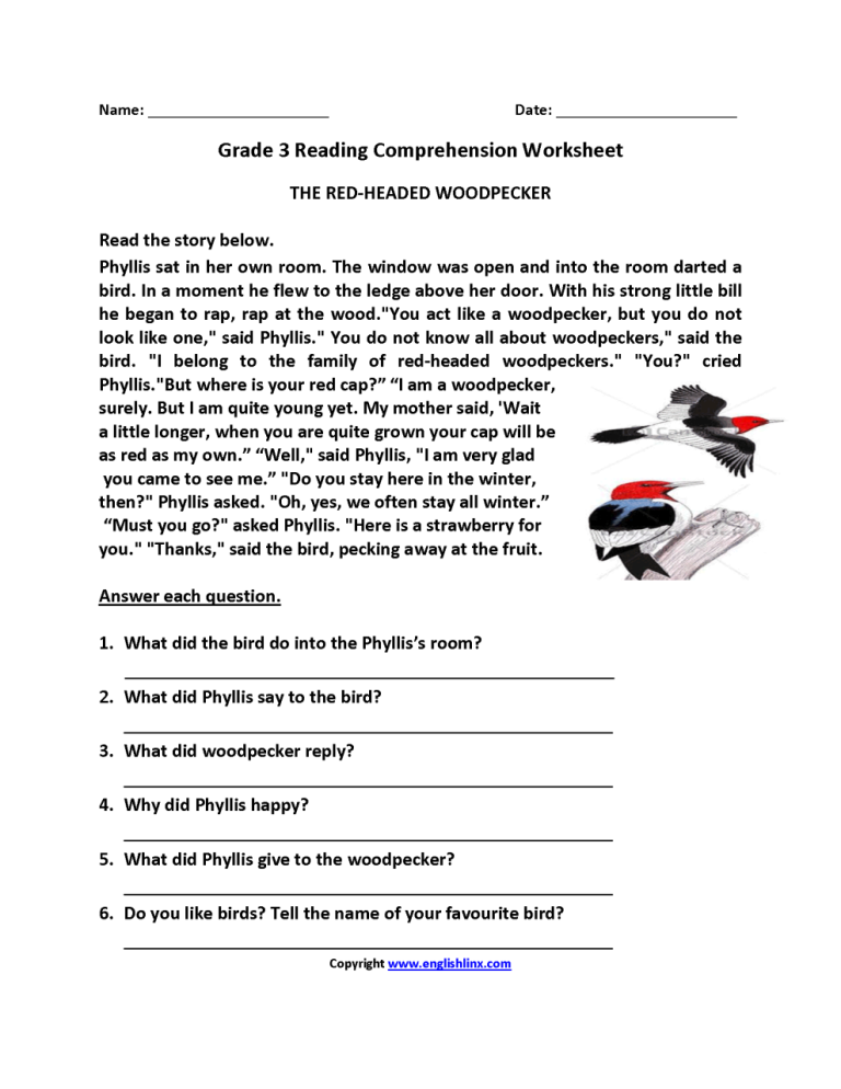 Free Printable Reading Comprehension Worksheets 3rd Grade