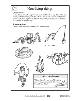 Free Printable Kindergarten Science Worksheets