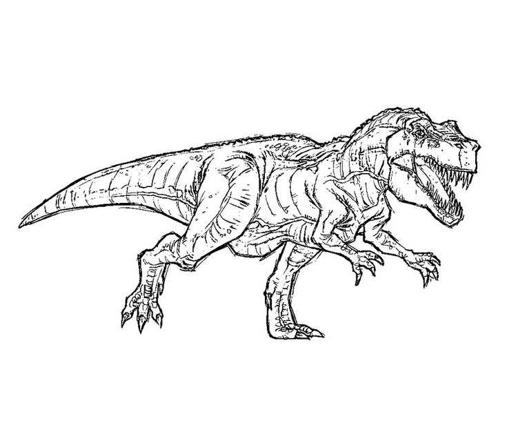 T Rex Jurassic Park Jurassic World Dinosaur Coloring Pages