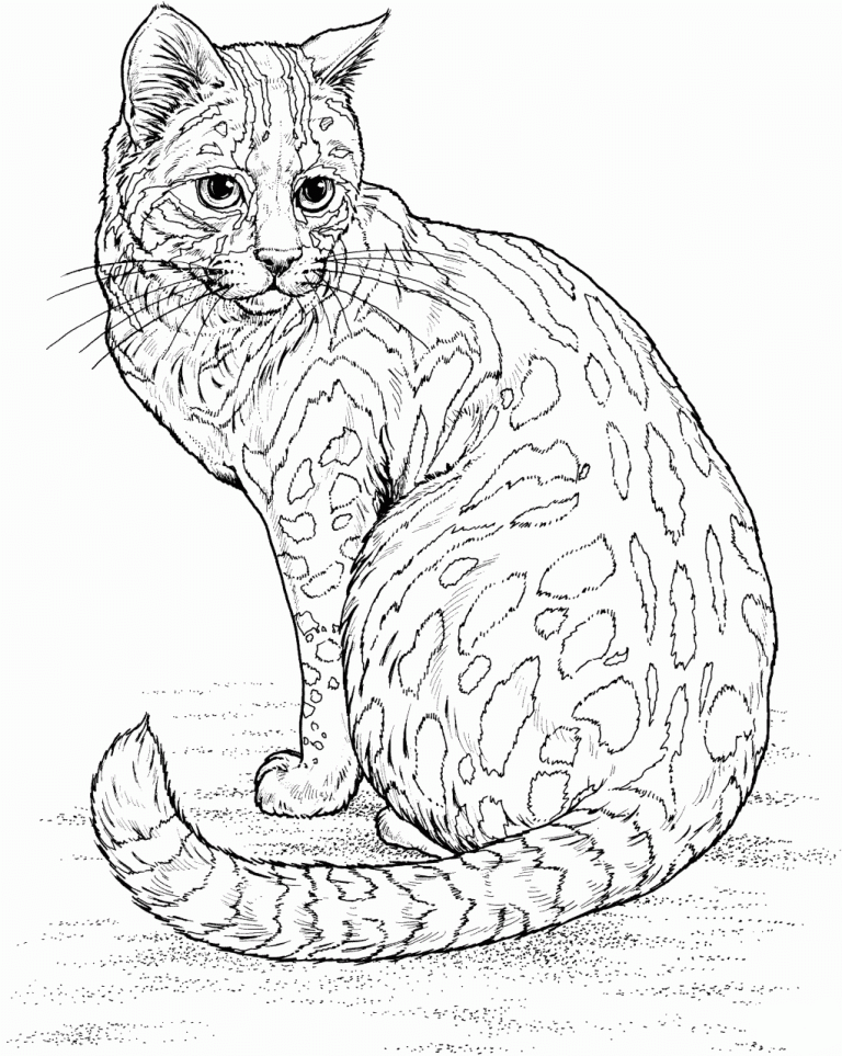 Easy Realistic Animal Coloring Pages