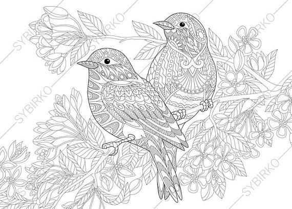Spring Bird Coloring Pages For Adults