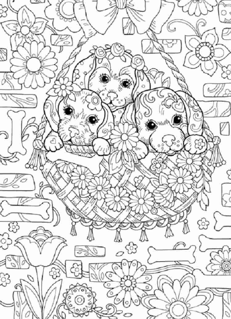 Colouring Sheets For Kids Hard
