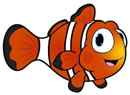Fish Drawing And Colouring For Kids