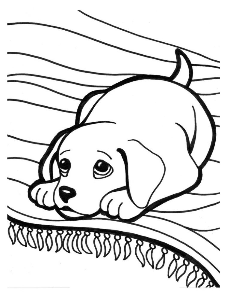 Cute Puppy Coloring Pages Free