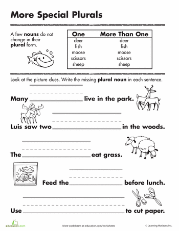 Irregular Plural Nouns Worksheet 3rd Grade Pdf