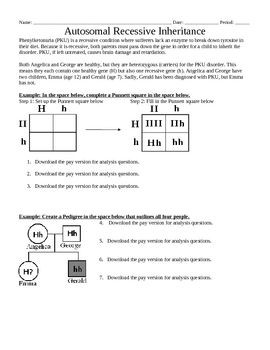 Biology Punnett Square Worksheet 1 Answer Key